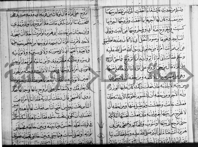 شرح عين العلم ج1