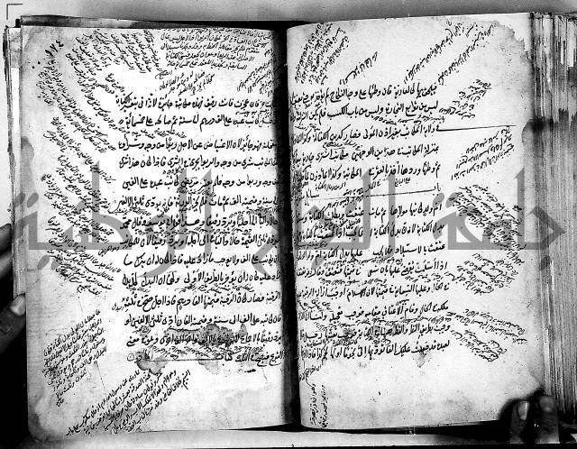 مذهب ابي حنيفة في الفقة