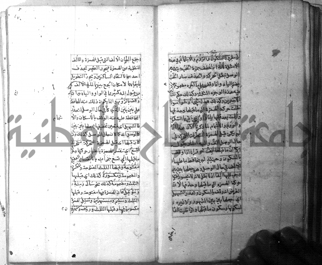 شرح الشافية 