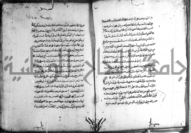 المواشح على الكافية