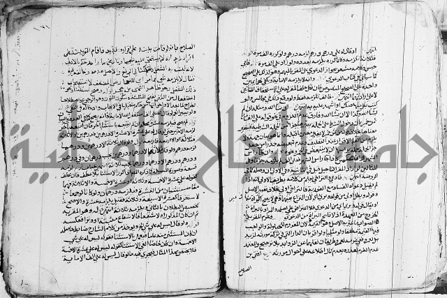 الزيادي على المنهج 