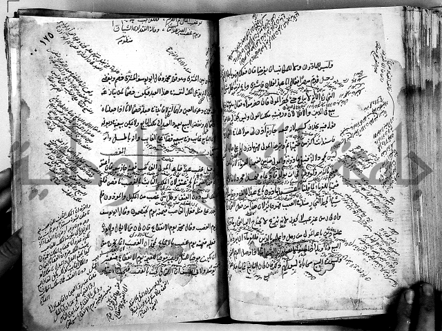 مذهب ابي حنيفة في الفقة