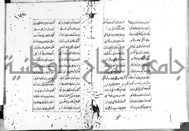 كتاب يوسف زليخا المؤلف 