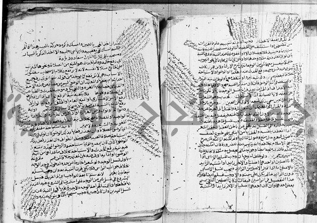 الزيادي على المنهج 