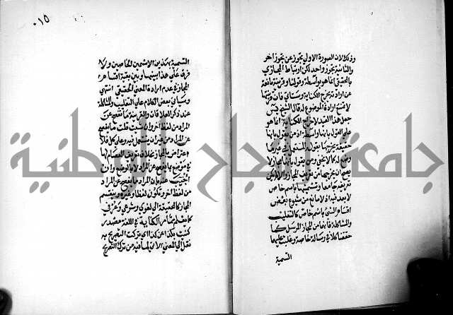 الرسالة البيانية