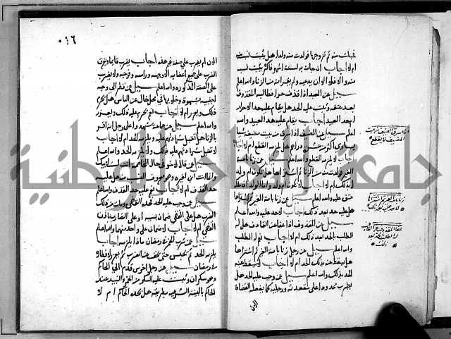 الفتاوى الامينية