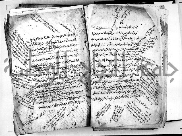 مذهب ابي حنيفة في الفقة