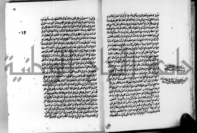 الجواهر الدورية في تنقيح الفتاوى الحامدية ج2 