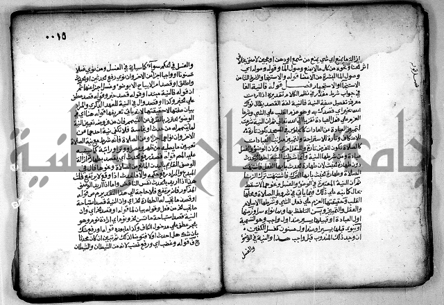 فقة من مخطوطات مسجد الحاج نمر النابلسي 