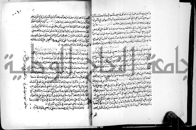 البحر الفائض في شرح ديوان ابن الفارض البوريني 