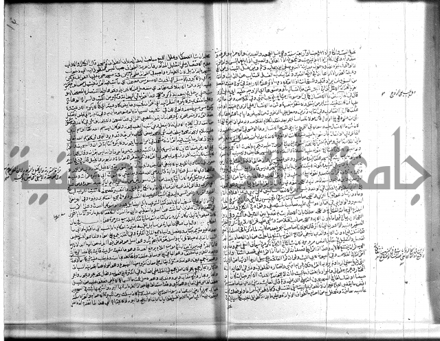 تنوير الابصار 