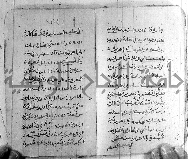 قصة ابي هريرة 