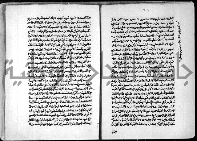 السمرقندية وقف لابراهيم القمحاوي