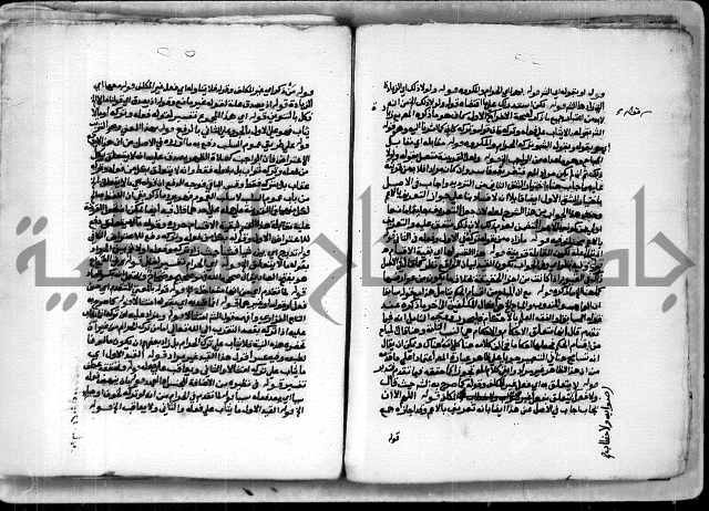 حاشية الشبراملي على شرح الورقات لابن قاسم العبادي