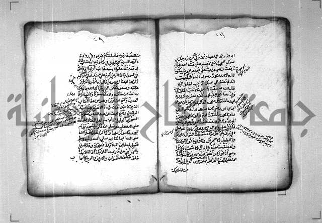 شرح الهمزية  