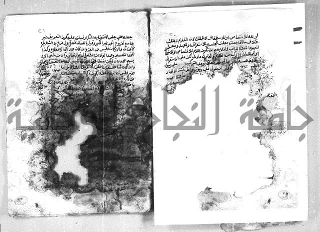 الهدهدي 