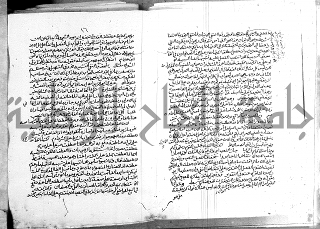 كتاب في اللغة العربية