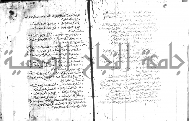 شرح لامية العجم 
