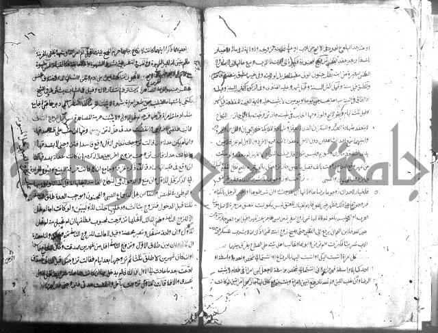 منية الفتى 