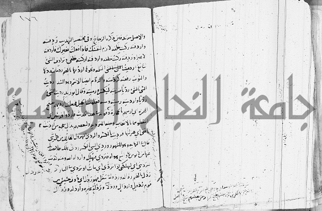 التقريب في علم الغريب