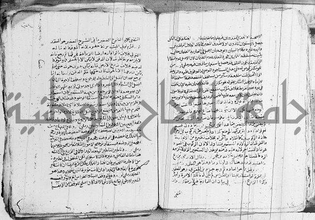 الزيادي على المنهج 