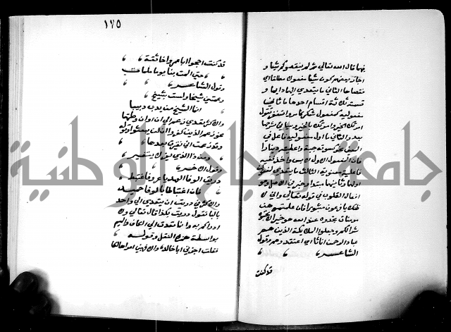 شرح شذور الذهب في معرفة كلام العرب 