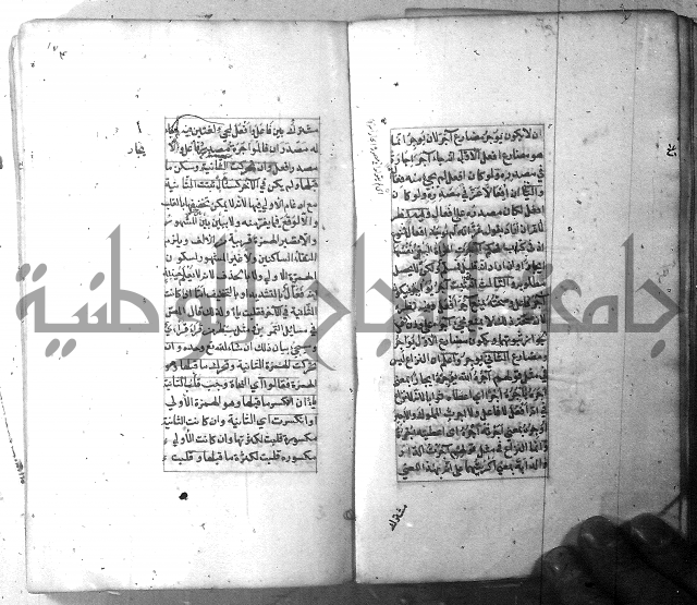 شرح الشافية 