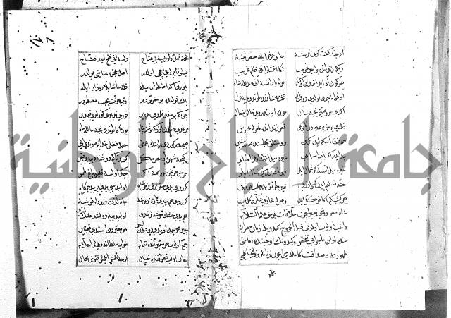 كتاب يوسف زليخا المؤلف 