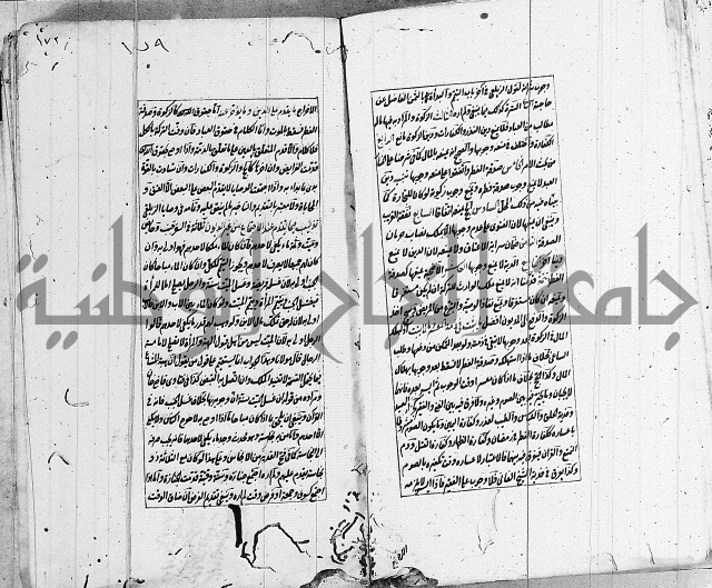 الاشباه والنظائر