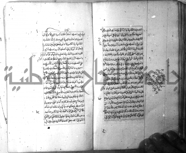 شرح الشافية 