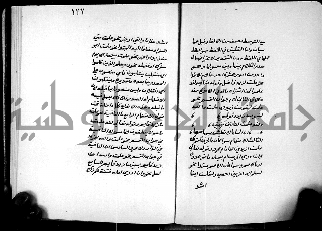 شرح شذور الذهب في معرفة كلام العرب 