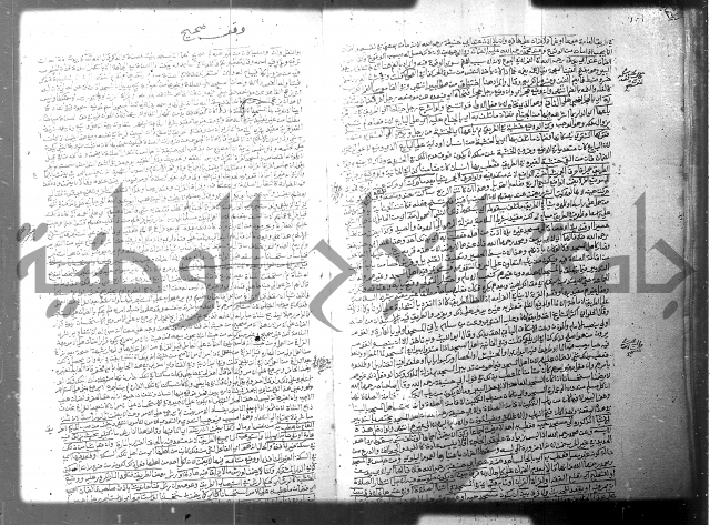 فيض الانهر على ملتقى الاكبر ج2 