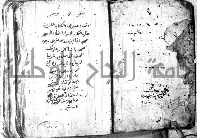 شرح مقدمة قطر الندى وبل الصدى