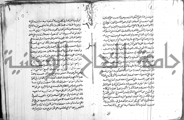 العقود الجوهرية 