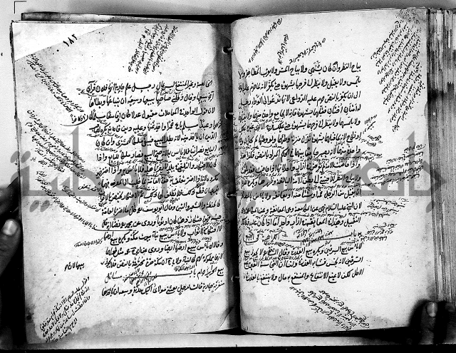 مذهب ابي حنيفة في الفقة