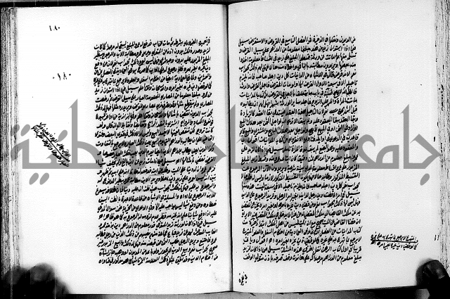 الجواهر الدورية في تنقيح الفتاوى الحامدية ج2 