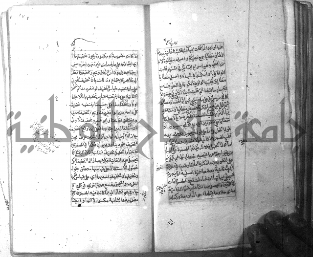 شرح الشافية 
