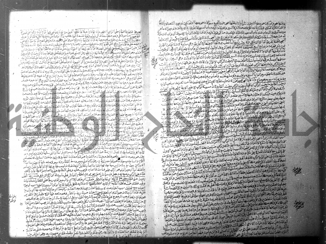 فيض الانهر على ملتقى الاكبر ج2 