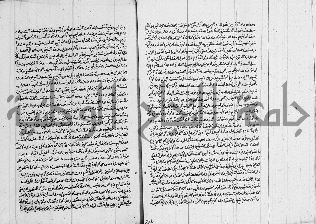 العناية في شرح الهداية 