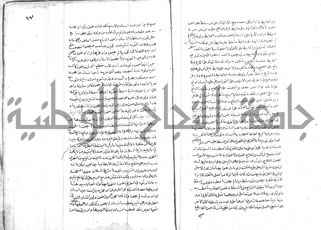 خزانة المفتين