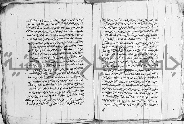 الزيادي على المنهج 