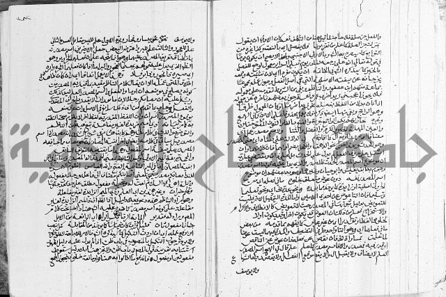 كتاب في اللغة