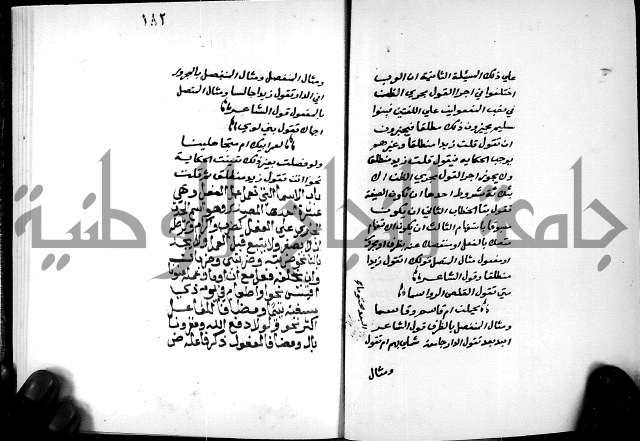 شرح شذور الذهب في معرفة كلام العرب 