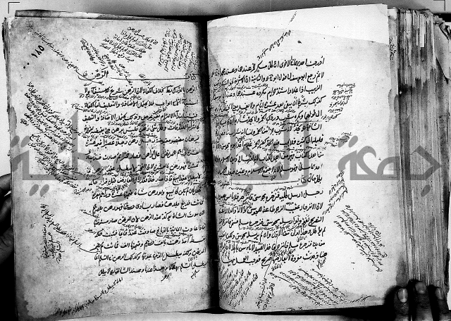 مذهب ابي حنيفة في الفقة