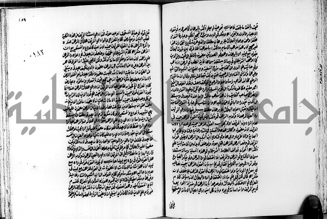 الجواهر الدورية في تنقيح الفتاوى الحامدية ج2 