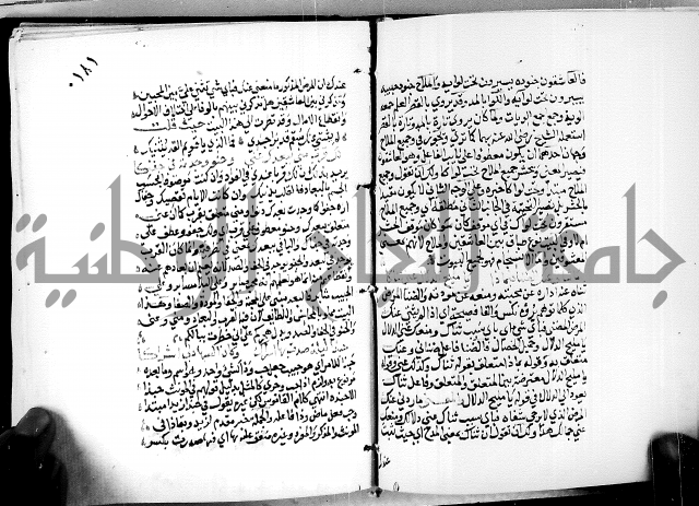 البحر الفائض في شرح ديوان ابن الفارض البوريني 