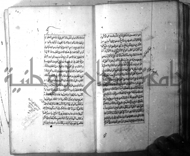 شرح الشافية 