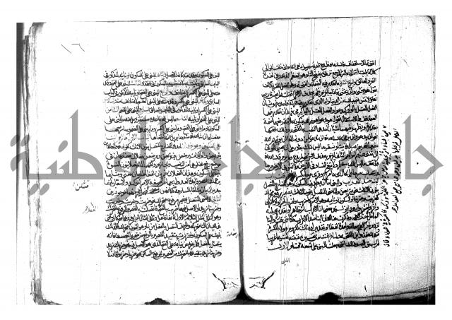 شرح شذور الذهب لابن هشام