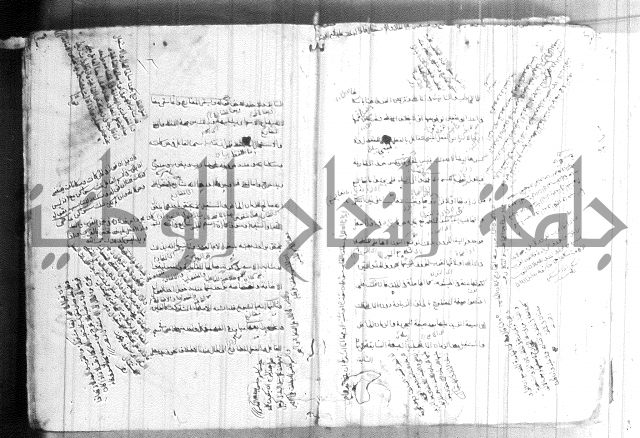 ضوء في علم النحو