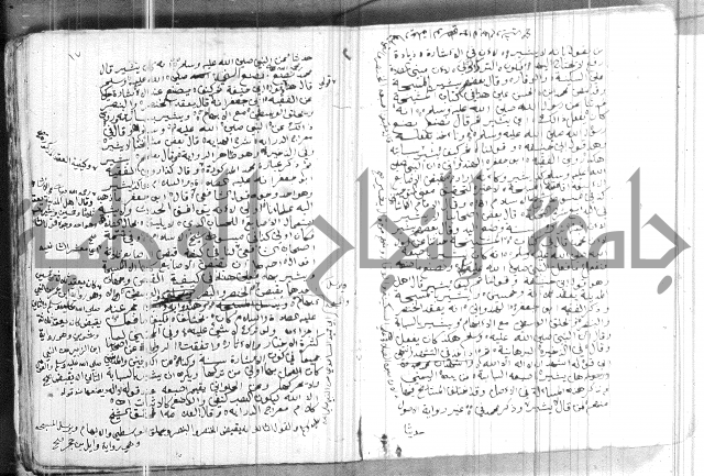 تنبية الغافل